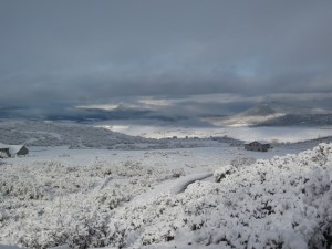 Spring Mountain Surprises